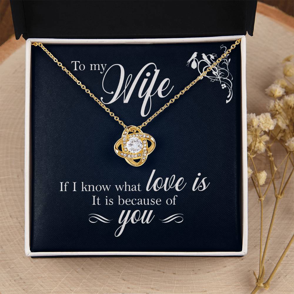 Revd Love Knot Necklace, Wife Gift, Mother's Day Gift, Wife Necklace, Mother's Day Gift From Soulmate, Mother's Day Gift From Spouse, Wife Birthday Gift, Soulmate Birthday Gift, Just Because Gift to Wife, Birthday Gift, Anniversary Gift