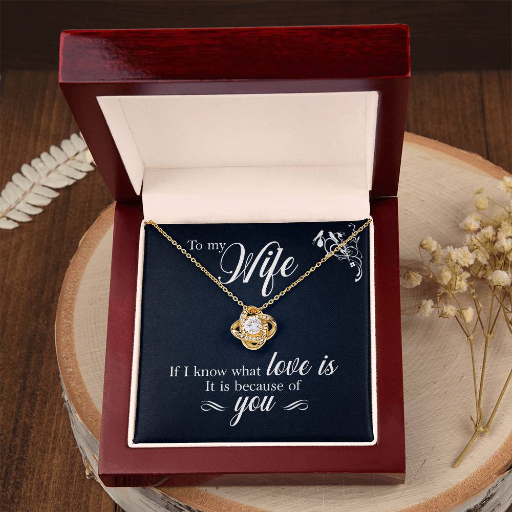 Revd Love Knot Necklace, Wife Gift, Mother's Day Gift, Wife Necklace, Mother's Day Gift From Soulmate, Mother's Day Gift From Spouse, Wife Birthday Gift, Soulmate Birthday Gift, Just Because Gift to Wife, Birthday Gift, Anniversary Gift