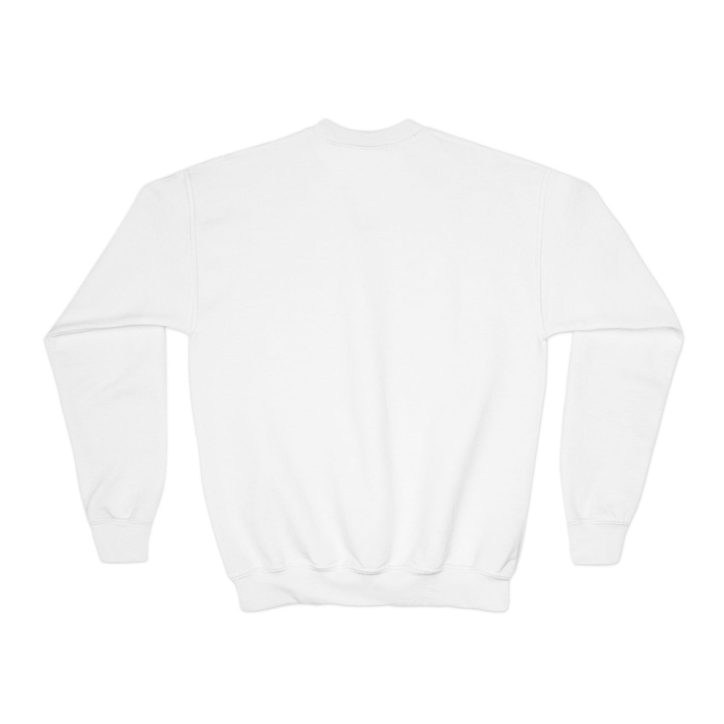 Custom name unisex alphabet sweatshirt for youth, toddlers & adults. Toddler and preschool gift, First Day Of School, fun shirt for youth