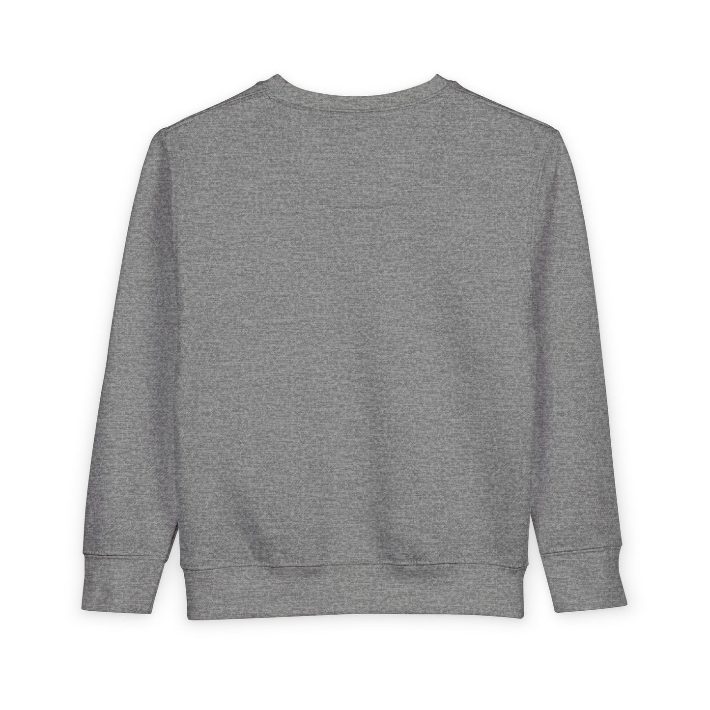Alphabet Toddler Sweatshirt: Fun Kindergarten Kids Shirt