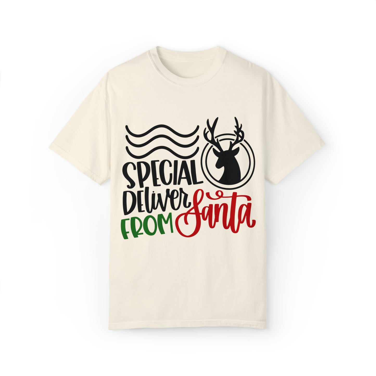 Special Delivery from Santa Unisex Garment-Dyed T-shirt