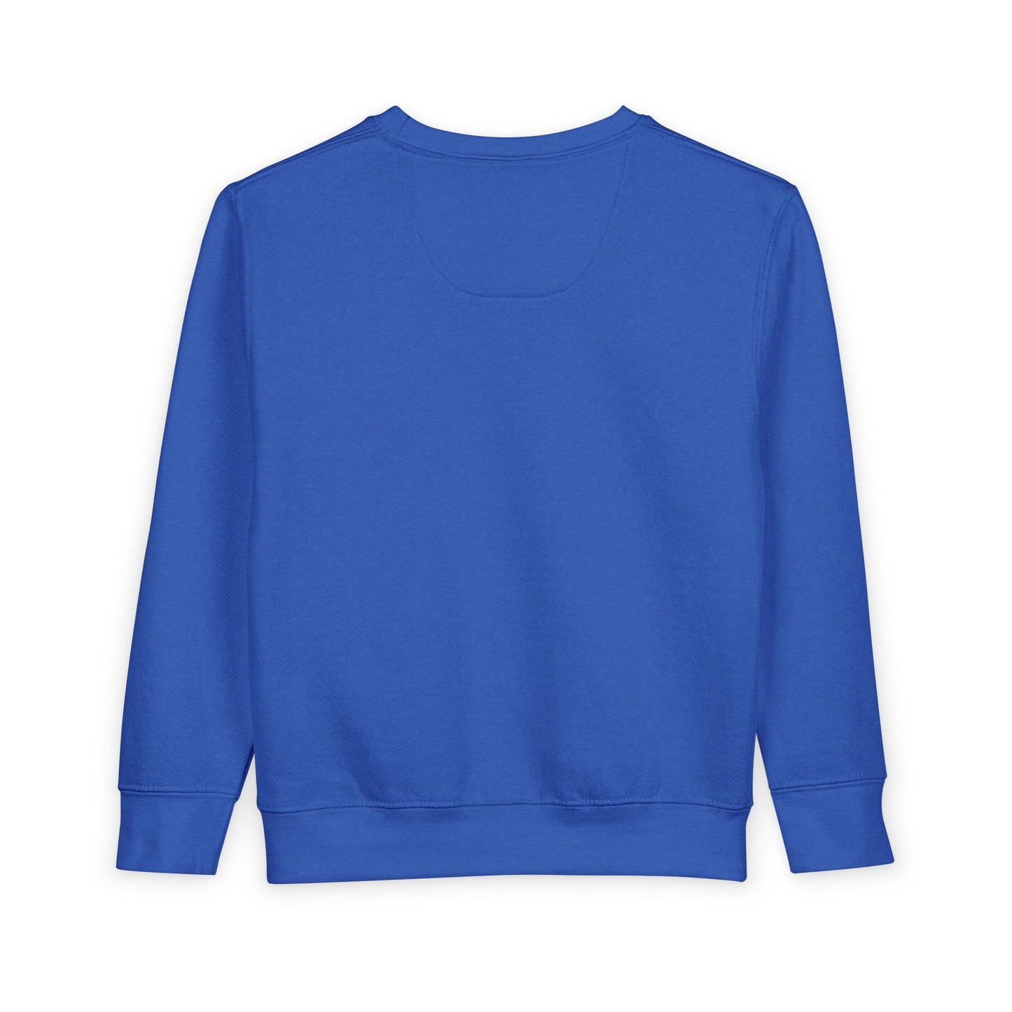 Alphabet Toddler Sweatshirt: Fun Kindergarten Kids Shirt