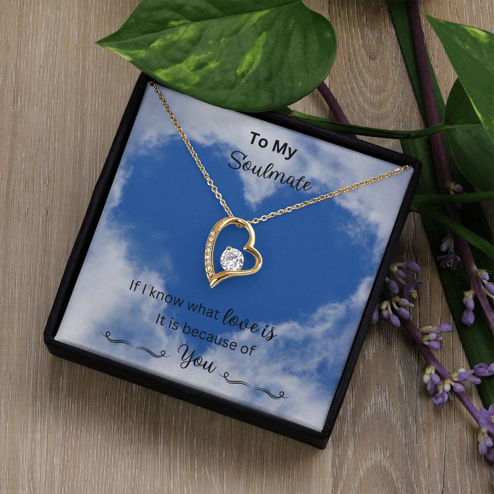 Revd Forever Love Necklace. Soulmate Gift, Mother's Day Gift, Wife Necklace, Mother's Day Gift From Husband, Mother's Day Gift From Spouse, Wife Birthday Gift, Just Because Gift to Wife, Birthday Gift, Anniversary Gift Title14k White Gold Finish