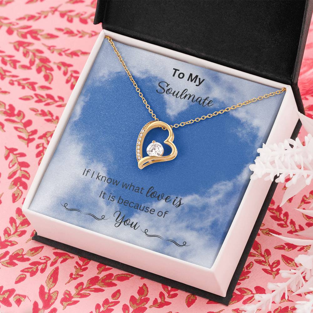 Revd Forever Love Necklace. Soulmate Gift, Mother's Day Gift, Wife Necklace, Mother's Day Gift From Husband, Mother's Day Gift From Spouse, Wife Birthday Gift, Just Because Gift to Wife, Birthday Gift, Anniversary Gift Title14k White Gold Finish